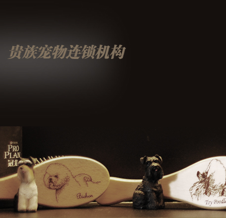 武漢三陽路融科精致店